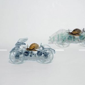 LA SAGA DES ESCARGOTS-MOBILES